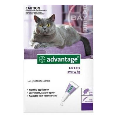 Advantage Cats Over 10lbs (Purple) 6 Doses