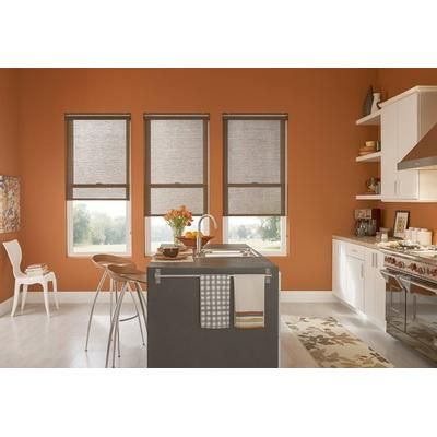 Light Filtering Roller Shades | 36" x 60"