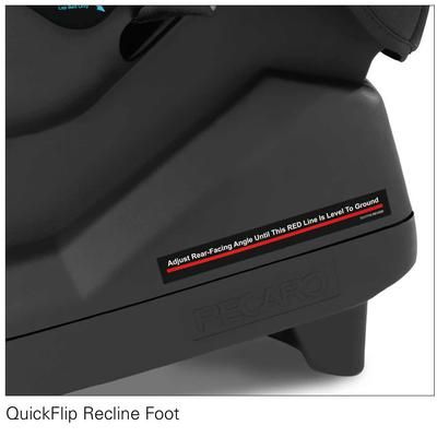 Recaro Roadster XL Convertible Car Seat - Aluminum Gray