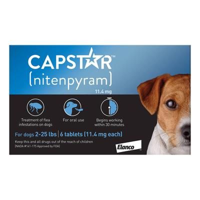 Capstar For Small Dogs 0.5 To 11kg (Blue) 6 Tablets