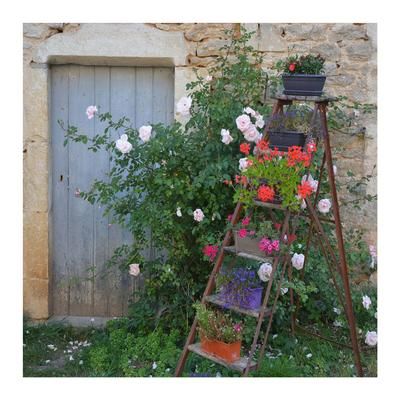 All Weather All Season Outdoor Canvas Art by West Of The Wind in Multi