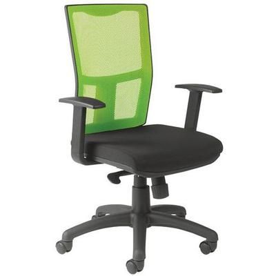 Fauteuil Ritz Accoudoir Fixe Dossier Résille Vert - Manutan Expert