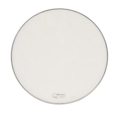"Millenium QuiHead 22" Mesh Head"