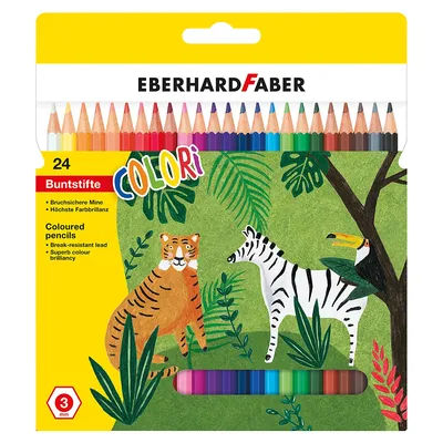 Crayons de couleur, 24 crayons