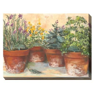 HERB POTS OUTDOOR ART 40X30 by West of the Wind in Multi