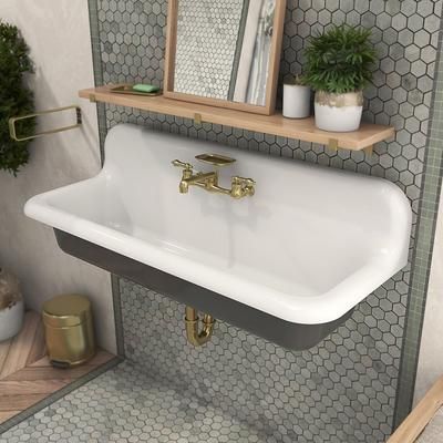 Randolph Morris 48 Inch Cast Iron Wall Mount Farmhouse Trough Sink CASTSINK48-8D-DG