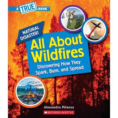 All About Wildfires (paperback) - by Alessandra Potenza