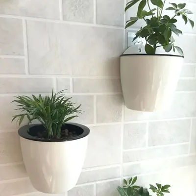 Pot de plante mural absorbant automatiquement l'eau pots de fleurs et jardinières cadeau