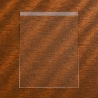 Laminated Crystal Clear Bags® with Flap 9" x 12" 100 pack