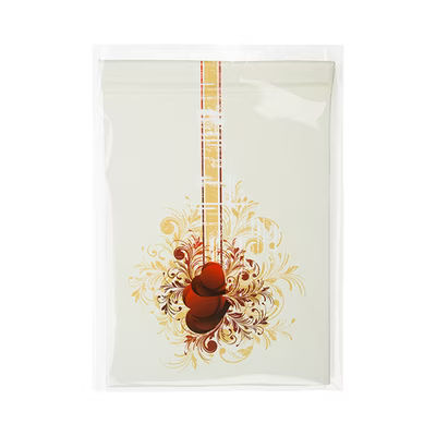 Premium Eco Clear Bags 5" x 6 11/16" 100 pack