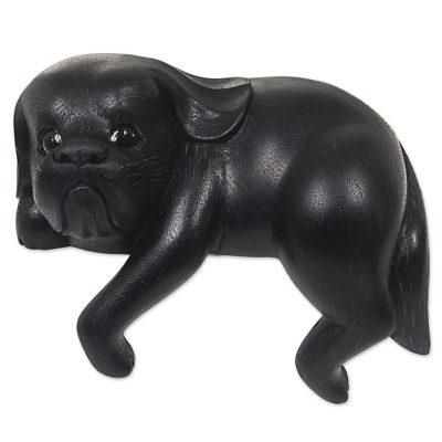 Curious Shih Tzu in Black,'Hand Made Wood Dog Sculpture Black Finish from Indonesia'