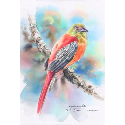 'Realistic Watercolor Painting of Orange-Breasted Trogon Bird'