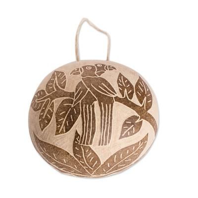 Macaw Fantasy,'Macaw Wall Accent Hand-Carved in Dried Calabash Gourd'