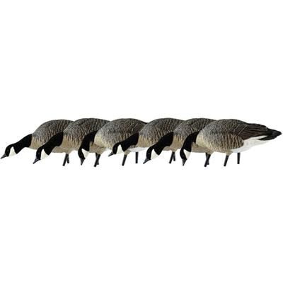 Avian X Feeder Pack APX Lessers Decoy AVX-AVX9007