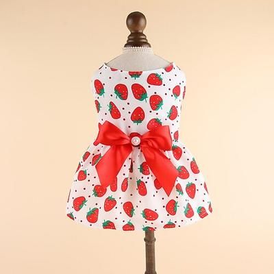 Cane Gatto Vestito Gonna Moda Casual Impermeabile Traspirante Morbido Lavabile Confortevole Casual Quotidiano Abbigliamento per Cani for Bichon Frisé Volpino di Pomerania Cucciolo Papillon Piccolo