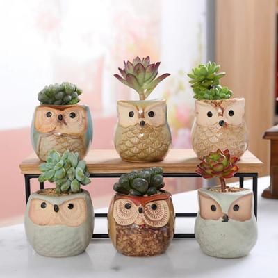 6pcs/set Owl Pot Ceramic Flowing Glaze Base Serial Set Succulent Plant Pot Cactus Plant Pot Flower Pot Container Planter With Drainage Hole Home Office Desk Garden Gift, 2.4cm/2.4inch