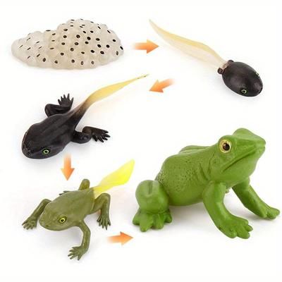 TEMU 5pcs Frog Animal Model Figures Realistic Frog Model Toy Figures Educational Development Toys For Accessories Children Learning, Christmas And Thanksgiving Day Gift