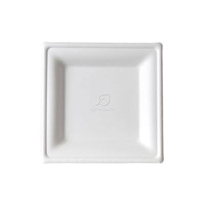 Eco Products EP-P021NFA Vanguard WorldView 6" Square Disposable Plate - Molded Fiber, White, Case of 500