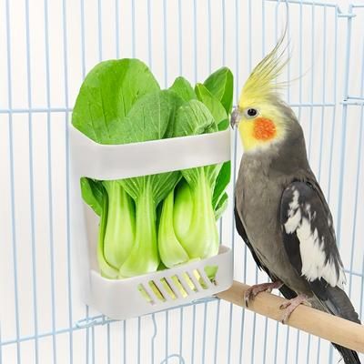 TEMU 1pc Bird Fruit Vegetable Feeder Bowl, Parrot Feeding Holder Rack With Screw Attachment, Easy-install Cage Accessory, Pet Cage Food Basket For Small Birds