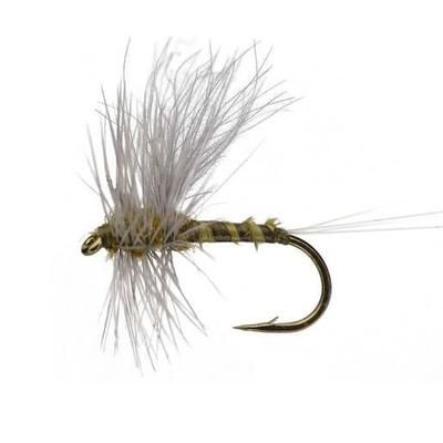 RoundRocks Flav Fly - 6 Pack - 14