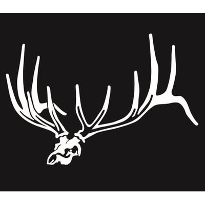 Hunters Images Low Profile Elk Skull - Large - White
