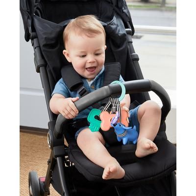 Skip Hop Dog Walker Stroller Toy