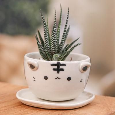 'Thai-Made White Tiger Ceramic Flower Pot and Saucer (Medium)'