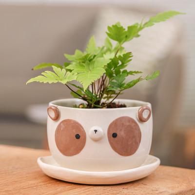 'Painted Brown Panda-Shaped Ceramic Flower Pot and Saucer Set'