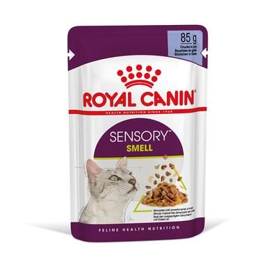 24x85g Jelly Sensory Smell Royal Canin Wet Cat Food