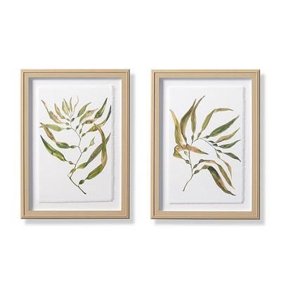 Sea Kelp Giclee Prints - Print I - Frontgate