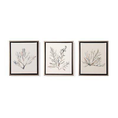 Variegated Coral Giclee Prints - Set of Three - Frontgate