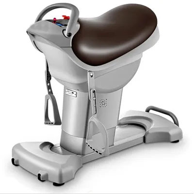 Horse Riding Simulator Electric Horse Riding Exercise Machine.
