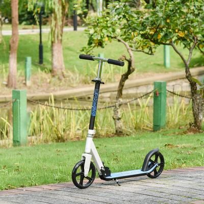 TEMU 2 Wheel Kids Kick Scooter Foldable Teens Commuter Aluminium Frame Adjustable Handles - White Blue