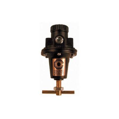 Coilhose Pneumatics Heavy Duty Regulator (166-8804)