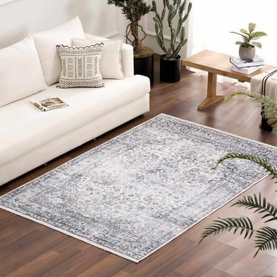 Boyana 5' x 7'6" Light Blue/Off White/Charcoal/Light Gray/Light Brown Washable Area Rug - Hauteloom