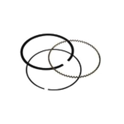 DNJ Piston Ring Set, 1 year or 12,000-mile limited warranty PR215