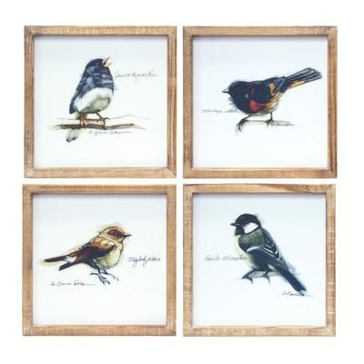 Framed Bird Print (Set of 4) 9.5"SQ MDF/Wood by Melrose in Brown/white