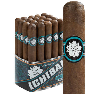 Room 101 Ichiban Limited Edition Maduro - Pack of 20