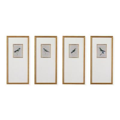 Antique Hummingbird Giclee Prints - Print III - Frontgate