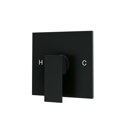 Randolph Morris Standard Valve - 1 Square Handles RMAS-VSQ1F-MB