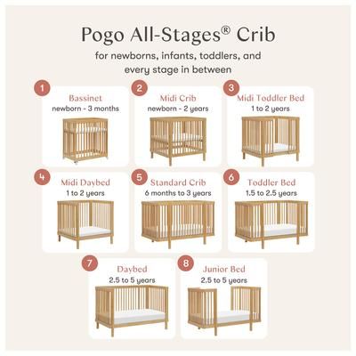 Babyletto Pogo 8-in-1 Convertible Crib w/All-Stages Conversion Kits - Honey