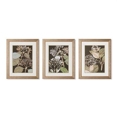 Graphic Foliage Giclee Prints - Print II - Frontgate