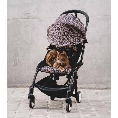 Stokke YOYO 6+ Color Pack - Leopard (Wild Collection)