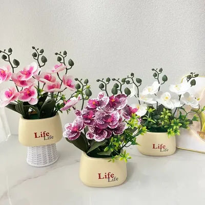 Orchidée de simulation haut de gamme de style nordique élégant, plante en pot d'orchidée papillon, décoration florale de luxe multifonctionnelle pour la maison