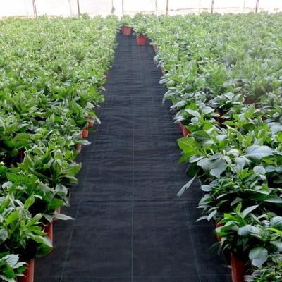 20 Year Heavy Duty PP Landscape Fabric, Premium Woven Weed Barrier For Outdoor Garden, Lawn & Driveway 20 Year Heavy Duty PP Landscape Fabric, Premium Woven Weed Barrier For Outdoor Garden, Lawn & Driveway