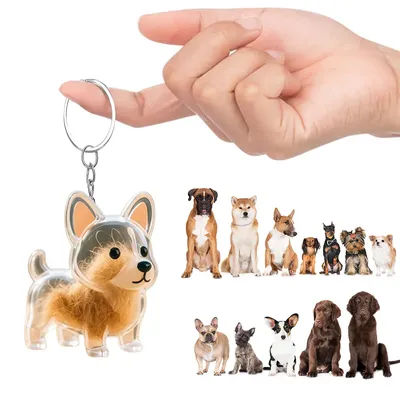 Dog Hair Storage Pendant Transparent Pet Memorial Charm Resin Capsule With Key Ring for Pet Lover DIY Pet Memorial Keychain