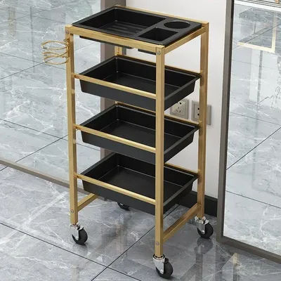 Hairdresser Beauty Salon Trolley Rolling Cosmetic Barber Spa Cart Tattoo Salon Utility Carritos Organizadores Beauty Furniture