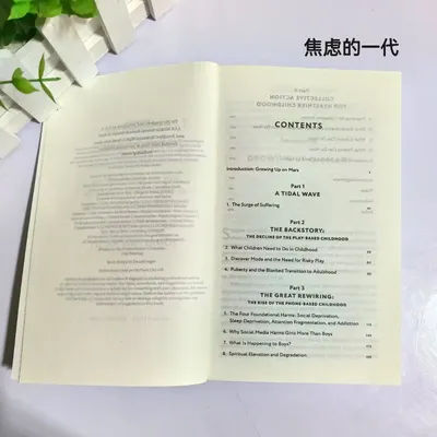 The Anxious Generation: How the Great Rewiring of Childhood Is Causing an Epidemic of Mental Illness