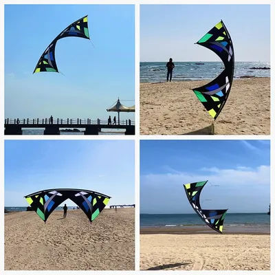 Freilein kites flying stunt kites quad line kites for adults kites control bar professional wind kites factory Camp fire gazing