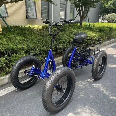Big Power 48V 1000W 4 Wheel Electric Bike With Pedal Off Road 20Inch 4.0 Tire Electric Tricycle for Elderly Person